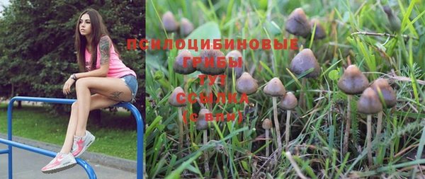 PSILOCYBIN Абинск