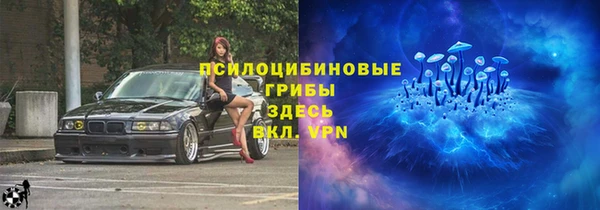 гашик Абаза