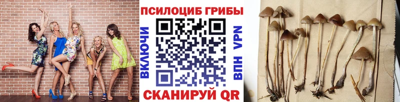 Галлюциногенные грибы GOLDEN TEACHER  Красавино 